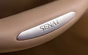   Aurus Senat S600 - 2019