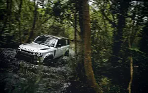   Land Rover Defender 110 Country Pack First Edition - 2020