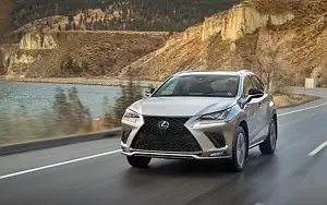   Lexus NX 300 F SPORT CA-spec - 2017
