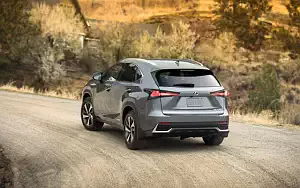   Lexus NX 300h CA-spec - 2017