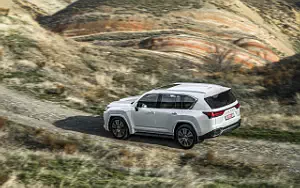   Lexus LX 500d - 2021