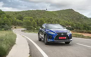   Lexus RX 300 (Blue) - 2019