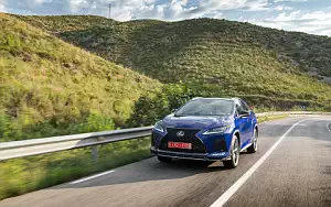   Lexus RX 300 (Blue) - 2019