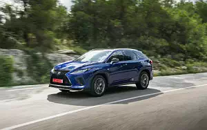   Lexus RX 300 (Blue) - 2019