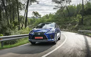   Lexus RX 300 (Blue) - 2019