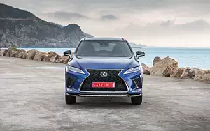   Lexus RX 300 (Blue) - 2019