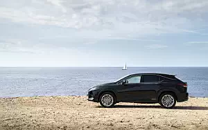   Lexus RX 450h (Black) - 2019