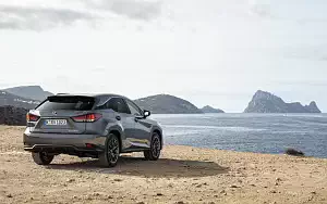   Lexus RX 450h (Grey) - 2019