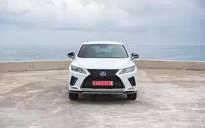   Lexus RX 450h (White) - 2019