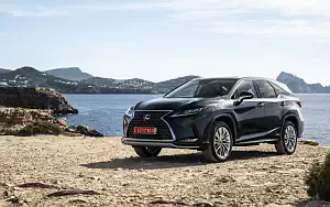   Lexus RX 450hL (Black) - 2019