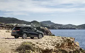   Lexus RX 450hL (Black) - 2019