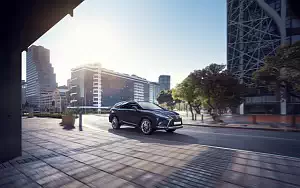   Lexus RX 450hL Luxury - 2019