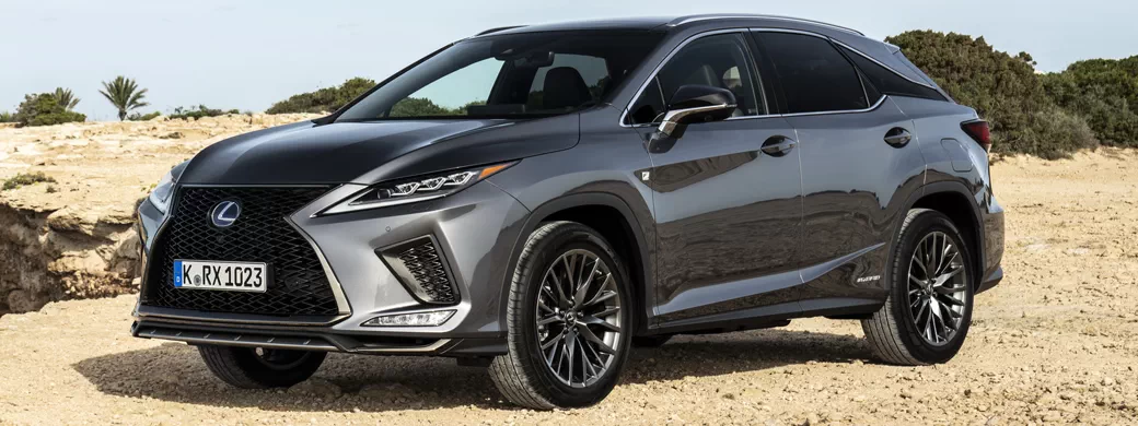   Lexus RX 450h (Grey) - 2019 - Car wallpapers