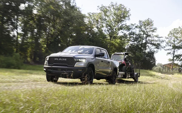   Ram 1500 Rebel (Billet Silver Metallic/Diamond Black) - 2024