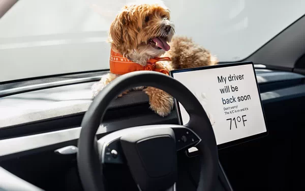   Tesla Model 3 Standard - 2025